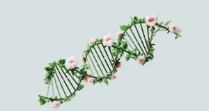 модерни здравни технологии в болниците в Турция